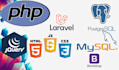 professional web developer for exceptional websites