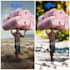 remove objects and people by snapedit editing
