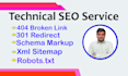 solve robot txt,broken link,redirect,and canonical tag issue