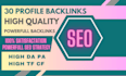 30 profile backlinks seo high quality domains