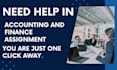 do  your accounting and finance assignment
