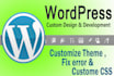 install wordpress theme as like your demo theme