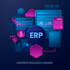 professional netsuite functional consultant