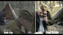 do color grading, color correction as a colorist