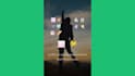 automate your social media using zach william animations