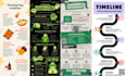 design a professional unique infographic
