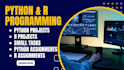 do python and r projects,  and tasks