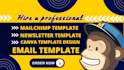 design newsletter template , mailchimp email template design, canva newsletter
