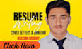 provide professional resume writing services