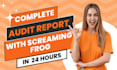 do full screaming frog website technical SEO audit report in 24hrs