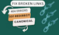 fix broken links,404 errors, canonical, schema markup with all indexing issues
