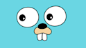 provide you golang consultancy