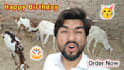 wish happy birthday and sing happy birthday song funny style