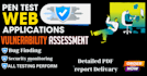 do pen testing your website or penetration testing  with professional report