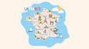 create a custom vector map for any location illustration