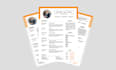 design an ats friendly professional resume that gets interviews