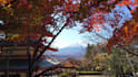 teach you japanese language