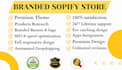 build shopify dropshipping store shopify website