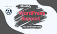 provide monthly maintenance service to your website