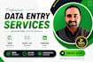 provide fast and reliable data entry, copy paste services
