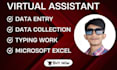 do data entry, copy paste, web research