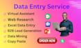 do excel data entry, web research, b2b lead generation