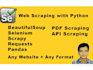 do professional web scraping, data extraction using python
