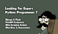 python expert for python script, API, web development