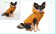 dog hair masking and  remove background product retouch