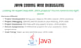 develop and debug java codes
