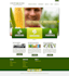 do custom website design and development services