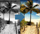 make a black and white picture colored