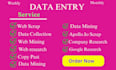 do data entry, data collection, copy paste, web scraping