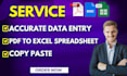 do accurate PDF to excel data entry and copy paste tasks