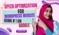 do speed optimization for your wordpress website