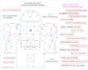 create electrical design and lighting plan