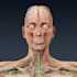do human anatomy using 3d medical animation