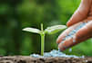 agriculture fertilizer formulation development and optimization