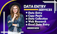 do data entry, data input, copy paste, and data collection