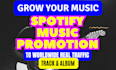 create and run advertising to promote your spotify music