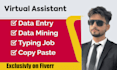 be virtual assistant in data entry and web research