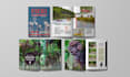 design catalog, magazine and any project with adobe indesign