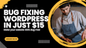 your wordpress expert fixing wordpress bugs