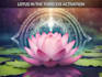 do the lotus in the third eye chakra activation