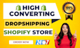 build a high converting dropshipping shopify store shopify website