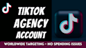 tiktok ad agency account