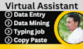 do professional virtual assistant for data entry services