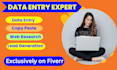 do perfect excel data entry web research copy paste typing job