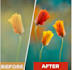 retouch and edit any image fast