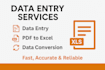 do data entry, PDF to excel, data conversion, and web research